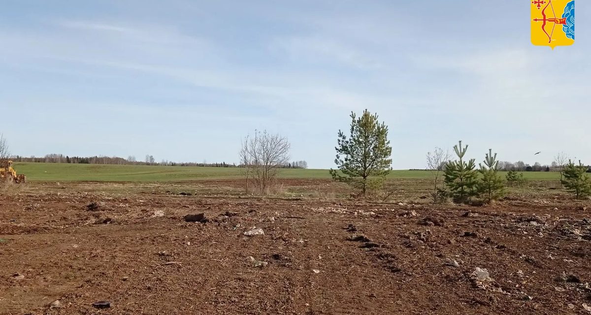 В Верхосунье вывезли 25 тысяч кубометров мусора со свалки, копившейся 30 лет