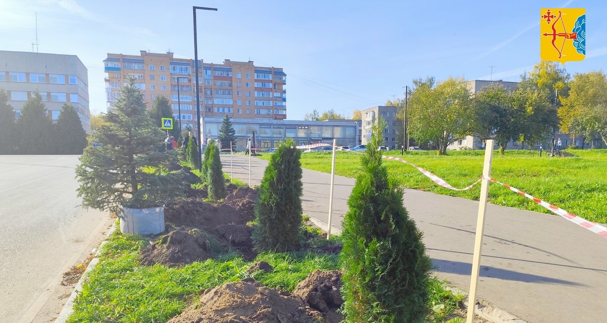 В Кирово-Чепецке компания подарила городу аллею из голубых елей и туй к 20-летию